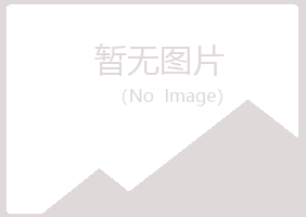 包头青山元柏能源有限公司